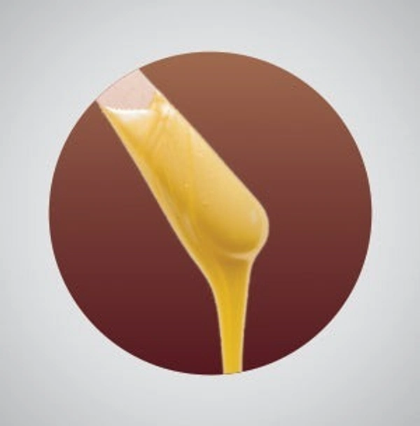 OZOMAX PROFESSIONAL TWIN JARS WAX WARMER