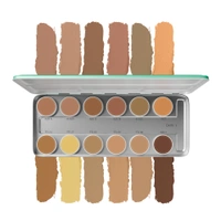 Beauty Berry Ultra HD Professional Base Palette | 12 Concealers | Waterproof & Revitalizing Formula | Full-Coverage, Lightweight, Long-Lasting & Blendable
