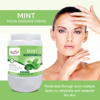Bee One Mint Facial Massage Cream 900ml | Enriched with Mint Extracts for Deep Moisturizing & 24H Hydration | Soothes, Refreshes & Rejuvenates Skin | Paraben-Free & Vegan