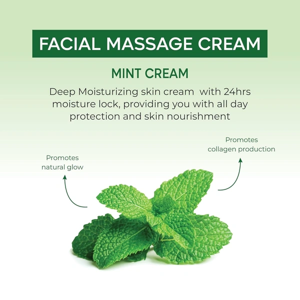 Bee One Mint Facial Massage Cream 900ml | Enriched with Mint Extracts for Deep Moisturizing & 24H Hydration | Soothes, Refreshes & Rejuvenates Skin | Paraben-Free & Vegan
