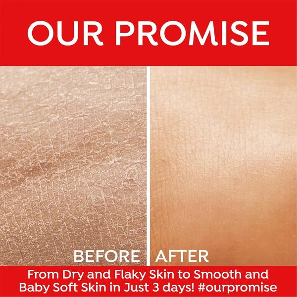 Bee One Rose Facial Massage Cream 900ml | Enriched with Rose Extracts for Deep Moisturizing, Soothing & 24H Hydration | Softens, Nourishes & Rejuvenates Skin | Paraben-Free & Vegan