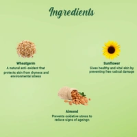 Biotique Wheat Germ Anti- Ageing Night Cream 50g | for Wrinkles & Fine Lines | Lightens dark Spots | Overnight anti-ageing treatment | 100% Botanical Extracts | Suitable for All Skin Types |