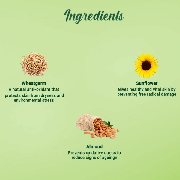 Biotique Wheat Germ Anti- Ageing Night Cream 50g | for Wrinkles & Fine Lines | Lightens dark Spots | Overnight anti-ageing treatment | 100% Botanical Extracts | Suitable for All Skin Types |