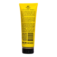 Floractive Professional Morocco Golden Shampoo, 250ml | Hydrating, Nourishing Shampoo | Moroccan Argan Oil for Frizz Control | Softness, Shine & Healthy Hair