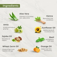 Indus Valley INDUS VALLEY Damage Free Natural Gel Hair Colour 220ml Light Brown 5.00 for Women & Men | 100% Grey Coverage | Ammonia & PPD Free Herbal Organic Conditioning Hair Color