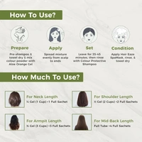 Indus Valley INDUS VALLEY Damage Free Natural Gel Hair Colour 220ml Black 1.00 for Women & Men | 100% Grey Coverage | No Ammonia, No PPD | Organic Herbal Based Conditioning Hair Color