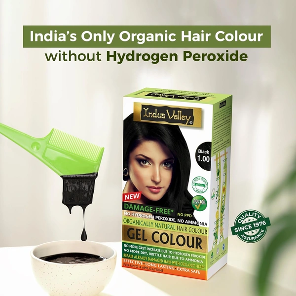 Indus Valley INDUS VALLEY Damage Free Natural Gel Hair Colour 220ml Black 1.00 for Women & Men | 100% Grey Coverage | No Ammonia, No PPD | Organic Herbal Based Conditioning Hair Color