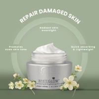 Lotus Herbals White Glow Skin Night Cream 60g | Whitening & Brightening Nourishing | Deep Hydration, Even Skin Tone & Radiant Glow While You Sleep