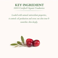 Lotus Organics+ Ultra Matte Tinted Face Sunscreen Cream 100g with SPF 40 PA+++ | 100% Certified Organic | Matte Finish | Mineral-Based & Chemical-Free | Water & Sweat Resistant