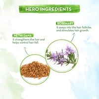 Derma Co Mamaearth Anti-Hair Fall Shampoo 250ml | with Rosemary & Methi Dana for Reducing Hair Loss & Breakage | Up to 94% Stronger Hair | Up to 93% Less Hair Fall | Up to 92% Shinier Hair | Thicker Hair | For All Hair Types