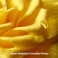 Matrix Biolage Smoothproof Smoothing Shampoo 1000ml | Frizz Control & Humidity Protection for Smooth | Manageable Hair | Paraben-Free & Safe for Color-Treated Hair | (Note:By Including Additional Weight charge of Product is 49/-)