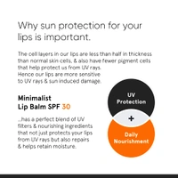 Minimalist SPF 30 Lip Balm 8g | With Ceramides & Hyaluronic Acid | Broad Spectrum Lip Protection & Deep Nourishment | Non-Sticky, Hydrating Lip Care for Women & Men