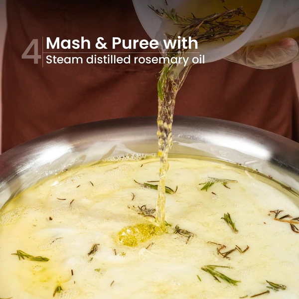 Nat Habit Navdha Rosemary Shampoo 125ml | Hair Fall Control | Sulphate & Paraben Free | Soy Fermented Gentle Cleanser with Amla, Reetha & Shikakai | Herbal & Chemical-Free