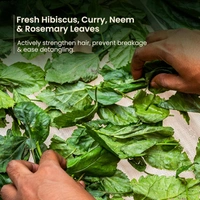 Nat Habit Rosemary Conditioner 150ml | Hair Fall Control & Nourishment | Bio-Activated with Argan Oil | Moisturizing Conditioner for Curly, Dry, Frizzy & Oily Scalp | Unisex