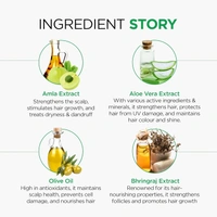 Oshea Herbals Amlacare Hairfall Control Shampoo 300ml | With Amla & Aloe Vera Extracts | Strengthens Roots, Reduces Hairfall & Dandruff | Herbal Daily Care for Men & Women