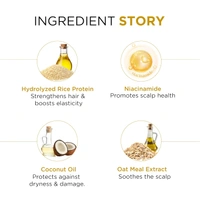 Oshea Herbals Rice Water Nourishing Shampoo 300 ml Enriched with Niacinamide, Oatmeal & Rice Water for Stronger, Smoother Hair | Deep Hydration & Repair| Controls Hair Breakage