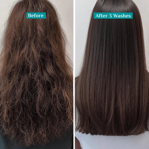 Pilgrim Advanced Damage Repair Shampoo 200ml with Korean Rice Water & Collagen for Unisex use | 17 Amino Acids, Wheat Protein & 5 Ceramides | Paraben-Free Formula for Dry, Damaged Hair