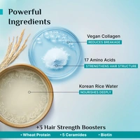 Pilgrim Advanced Damage Repair Shampoo 200ml with Korean Rice Water & Collagen for Unisex use | 17 Amino Acids, Wheat Protein & 5 Ceramides | Paraben-Free Formula for Dry, Damaged Hair