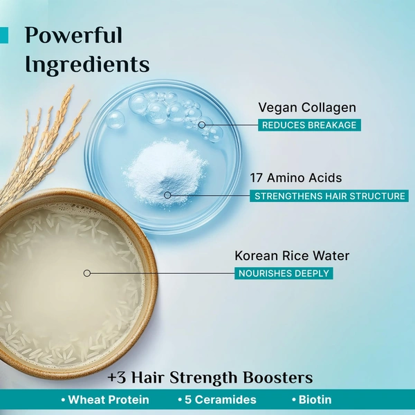 Pilgrim Advanced Damage Repair Shampoo 200ml with Korean Rice Water & Collagen for Unisex use | 17 Amino Acids, Wheat Protein & 5 Ceramides | Paraben-Free Formula for Dry, Damaged Hair