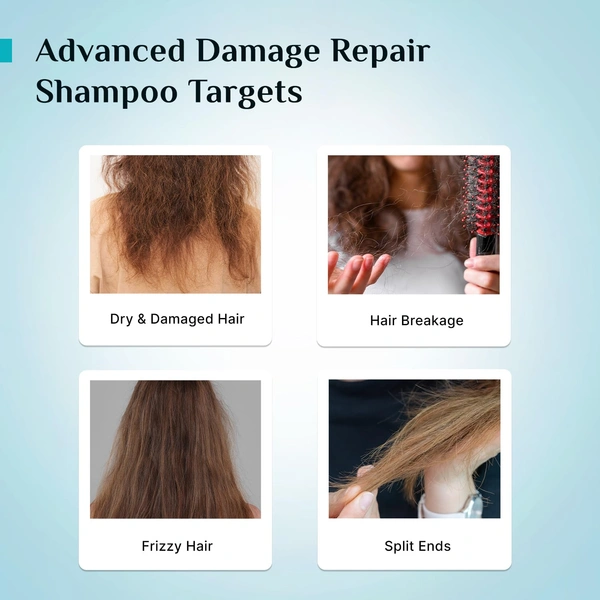 Pilgrim Advanced Damage Repair Shampoo 200ml with Korean Rice Water & Collagen for Unisex use | 17 Amino Acids, Wheat Protein & 5 Ceramides | Paraben-Free Formula for Dry, Damaged Hair