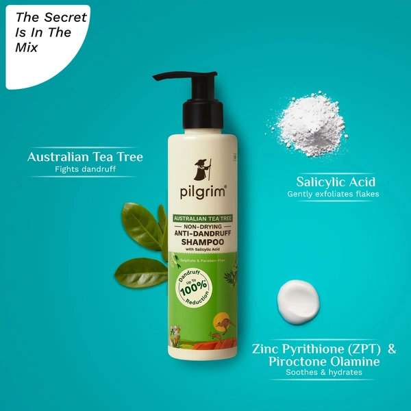 Pilgrim Australian Tea Tree Non-Drying Anti-Dandruff Shampoo 200ml | Gentle Cleanse, Controls Flakes, and Soothes Itchy Scalp for Healthier Hair.