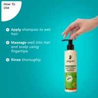 Pilgrim Australian Tea Tree Non-Drying Anti-Dandruff Shampoo 200ml | Gentle Cleanse, Controls Flakes, and Soothes Itchy Scalp for Healthier Hair.