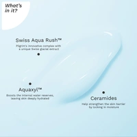 Pilgrim Swiss Aqua Rush Overnight Hydrating Cream - 50g | With Aquaxyl & Ceramides | Overnight Intense Hydration | Deep Moisture & Skin Barrier Repair | Lightweight, Non-Greasy | For All Skin Types