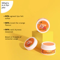 Pilgrim Vitamin C Lip Balm SPF 30 - 9ml | With Australian Kakadu Plum & Shea Butter | Soothing & Hydrating Dry & Chapped Lips | Moisturizes & Softens | Sun Protection Lip Balm | Lightweight | Soft & Nourished lips