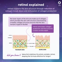 Plum 0.5% Retinol Renewing Night Cream 50g | Prevents Fine Lines & Wrinkles | With Bakuchiol & Bisabolol | Boosts Collagen | Smoothens & Firms Skin | 100% Vegan