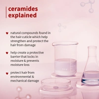 Plum Hibiscus & Ceramides Long & Healthy Shampoo 250ml | Hydrating & Conditioning Shampoo | Prevents Split Ends | With Hibiscus Extracts & Ceramides | 100% Vegan & Paraben-Free