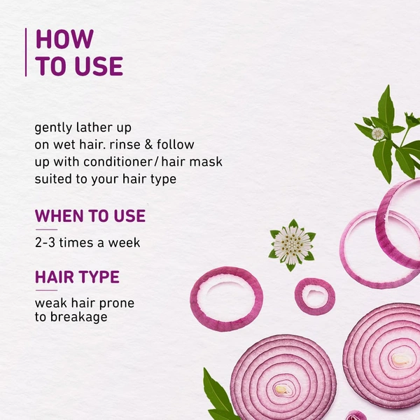 Plum Onion & Biotin Shampoo for Hairfall Control 250ml | Reduces Hairfall & Breakage | With Onion Extract, Biotin & D-Panthenol | Boosts Scalp Health | Paraben-Free & Vegan