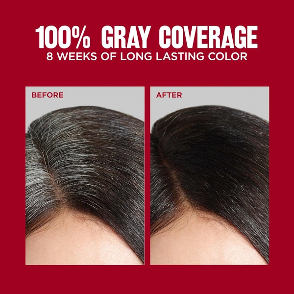 Revlon ColorSilk Permanent Hair Color 2N Brown Black | 100% Grey Coverage | Ammonia-Free with Pro-Keratin | Long-Lasting Salon-Like Shine & Natural-Looking Brown Black Color