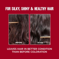 Revlon ColorSilk Permanent Hair Color 2N Brown Black | 100% Grey Coverage | Ammonia-Free with Pro-Keratin | Long-Lasting Salon-Like Shine & Natural-Looking Brown Black Color