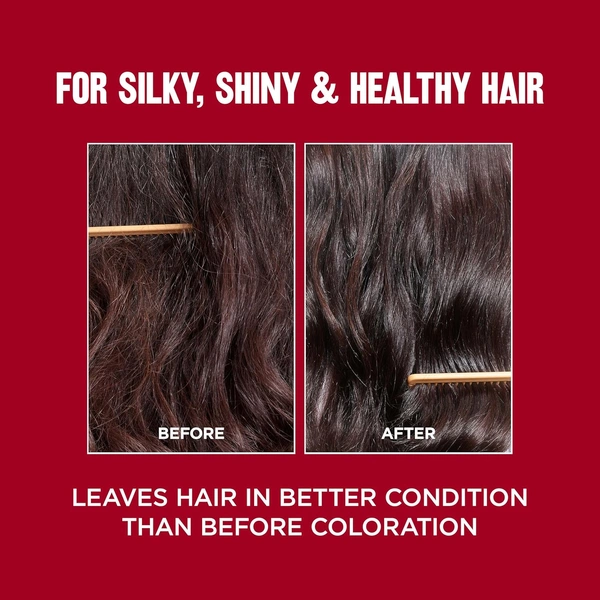 Revlon ColorSilk Permanent Hair Color 2N Brown Black | 100% Grey Coverage | Ammonia-Free with Pro-Keratin | Long-Lasting Salon-Like Shine & Natural-Looking Brown Black Color