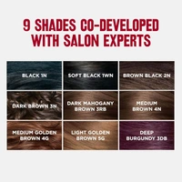 Revlon ColorSilk Permanent Hair Color 2N Brown Black | 100% Grey Coverage | Ammonia-Free with Pro-Keratin | Long-Lasting Salon-Like Shine & Natural-Looking Brown Black Color