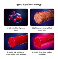 Schwarzkopf Igora Royal Highlifts 12-2 Special Blonde Cendr Violet Permanent Hair Color Tube 60ml for Cool Blonde Shades| High Lift Formula with Bond Protection