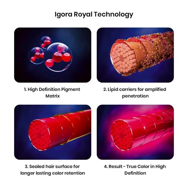 Schwarzkopf Professional L-77 Copper Extra IGORA Royal Fashion Lights 60gm| Permanent Highlight Color Creme | Intense Lift & Vibrant Copper Tones