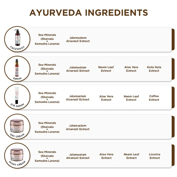 Spawake Ayurveda Rejuvenating Night Cream-50g | Reduce Inflammation | Boosts Skin Elasticity | Deeply Hydrates & Nourishes | Fine Line Reduction | Overnight Skin Care | for All Skin Types