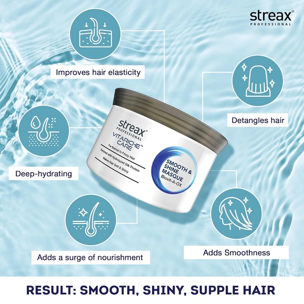 Streax Professional Vitariche Hair Care 500g | Smooth & Shine Masque | Fresh Fragrance |Dry Hair