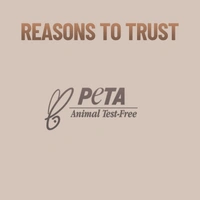 Swiss Beauty Foundation Blender Brush 1pc | Comfortable Grip