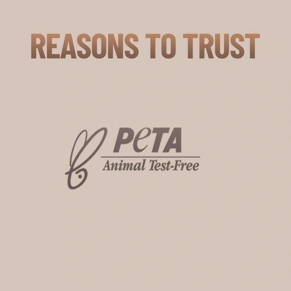 Swiss Beauty Foundation Blender Brush 1pc | Comfortable Grip