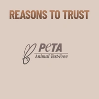 Swiss Beauty professional Face & Eye Brush Set 6pcs | Convenent And Stylish