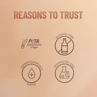 Swiss Beauty Ultra Base Concealer Palette Shade 03| Multi-Use Full Coverage Concealer, Contour & Corrector | Lightweight, Blendable Formula for Flawless, Even-Toned Makeup