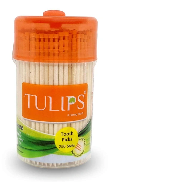 Tulips Premium Wooden Toothpicks 250 | High-Quality | Biodegradable | Safe for Daily Use | Ideal for Oral Hygiene & Kitchen Use