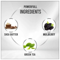 Vedic Line Alpha Whitening Facial Kit 350ml Green Tea Extract | For Reduces Freckles & Age Spots | Reduce pigmentation | Fades away Pigmentation & Acne Marks