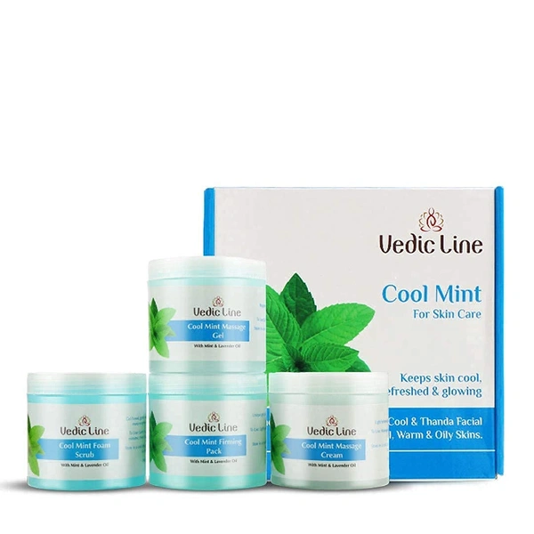 Vedic Line Cool Mint Facial Kit 400ml | Soothing Skincare Treatment | Reduce Tan & Dead Skin | For a Radiant Glow| Keep Skin Cool, Refreshed & Glowing