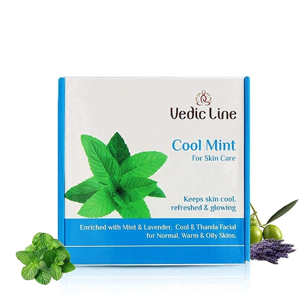 Vedic Line Cool Mint Facial Kit 400ml | Soothing Skincare Treatment | Reduce Tan & Dead Skin | For a Radiant Glow| Keep Skin Cool, Refreshed & Glowing