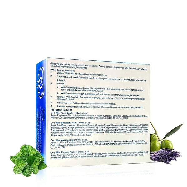 Vedic Line Cool Mint Facial Kit 400ml | Soothing Skincare Treatment | Reduce Tan & Dead Skin | For a Radiant Glow| Keep Skin Cool, Refreshed & Glowing