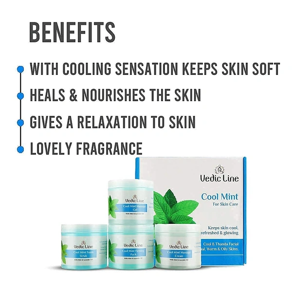 Vedic Line Cool Mint Facial Kit 400ml | Soothing Skincare Treatment | Reduce Tan & Dead Skin | For a Radiant Glow| Keep Skin Cool, Refreshed & Glowing