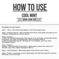 Vedic Line Cool Mint Facial Kit 400ml | Soothing Skincare Treatment | Reduce Tan & Dead Skin | For a Radiant Glow| Keep Skin Cool, Refreshed & Glowing